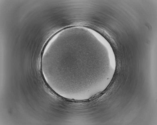 X0000110701276200907241117
