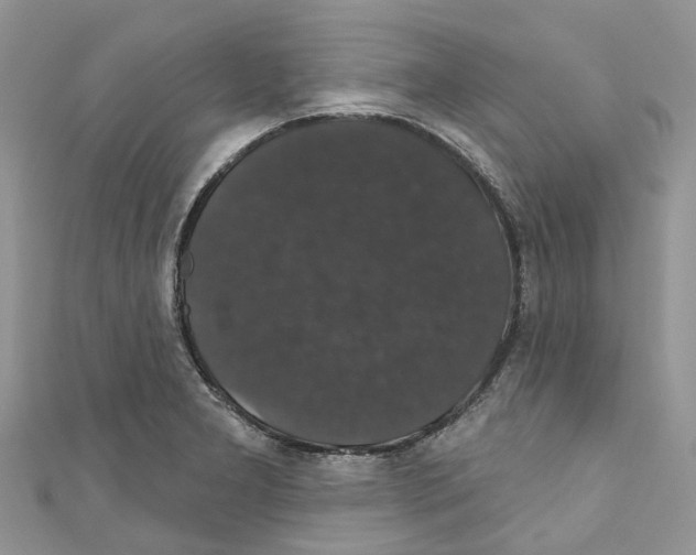 X0000110701277200907241117