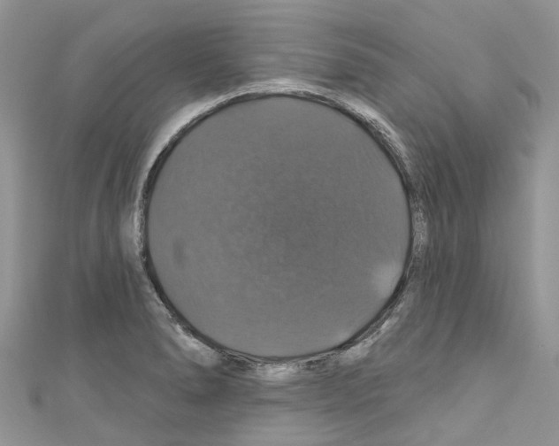 X0000110701278200907241117