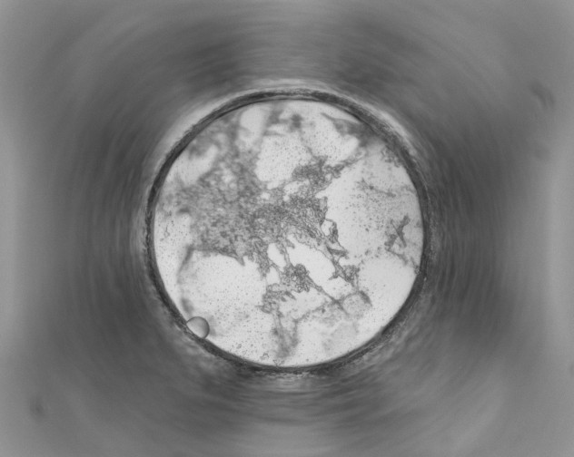 X0000110701279200907241117