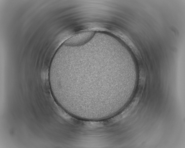 X0000110701281200907241117
