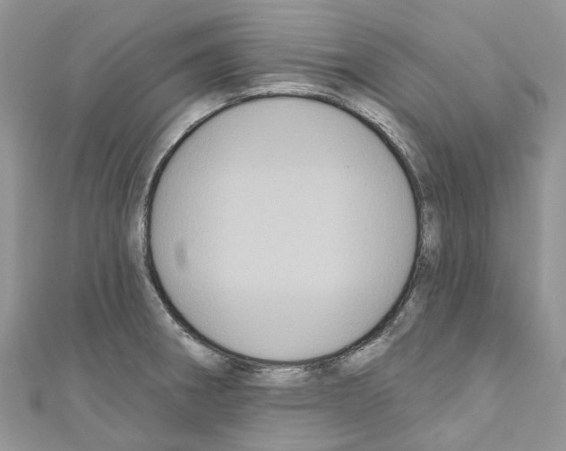 X0000110701282200907241117