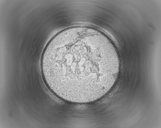 X0000110701283200907241117