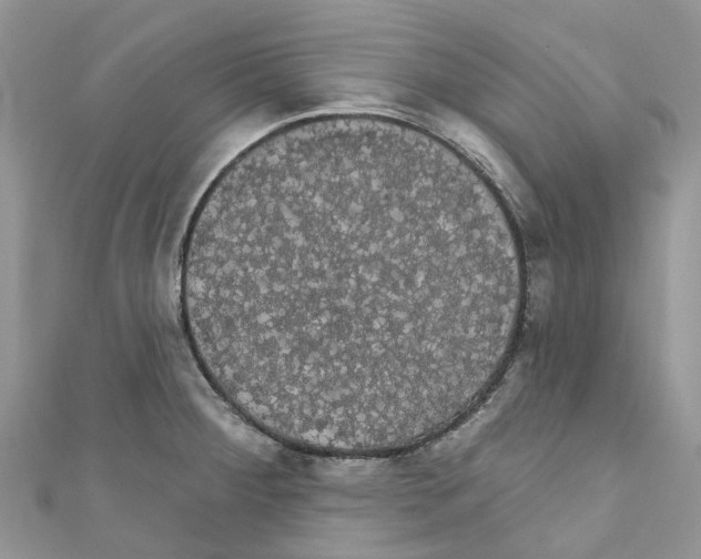 X0000110701284200907241117