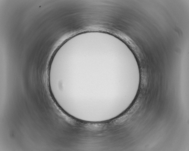 X0000110701286200907241117