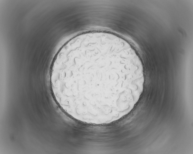 X0000110701287200907241117