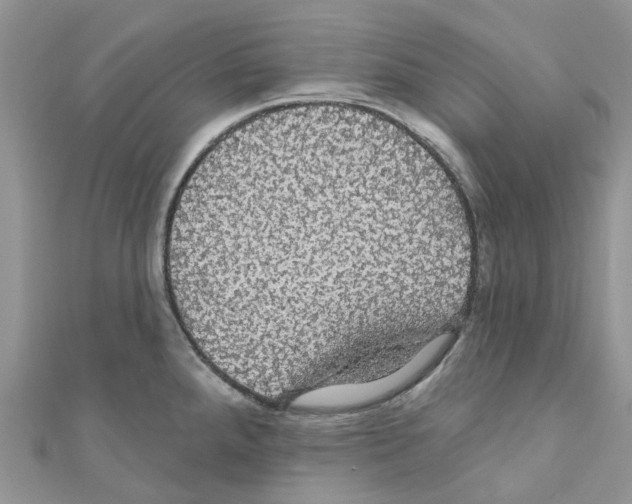 X0000110701288200907241117