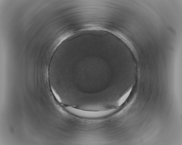 X0000110701289200907241117