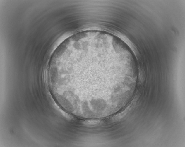 X0000110701290200907241117