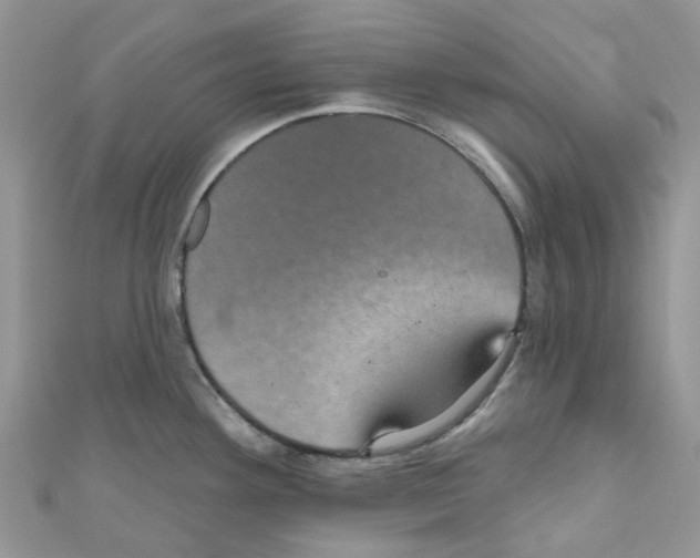 X0000110701292200907241117