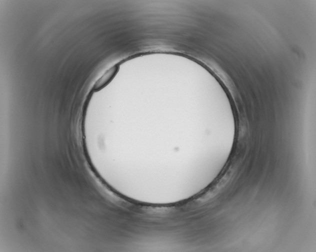 X0000110701293200907241117