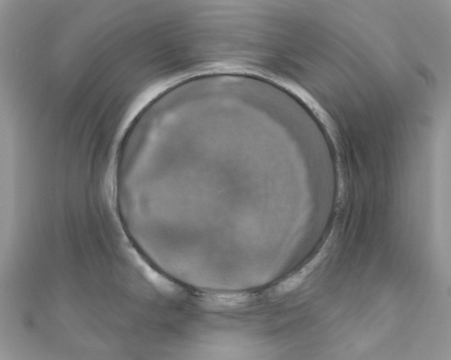 X0000110701294200907241117