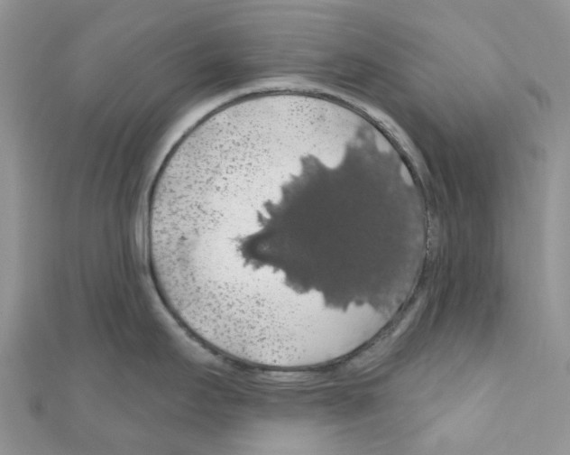 X0000110701295200907241117