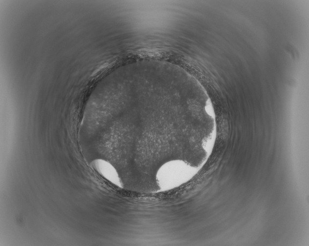 X0000110701297200907241116