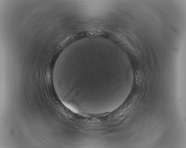 X0000110701298200907241116