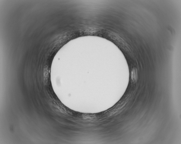 X0000110701299200907241116