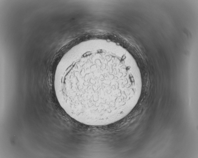 X0000110701301200907241116