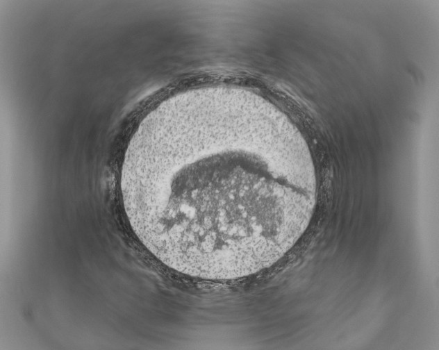 X0000110701302200907241116