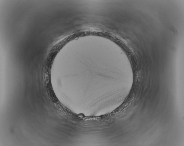 X0000110701303200907241116