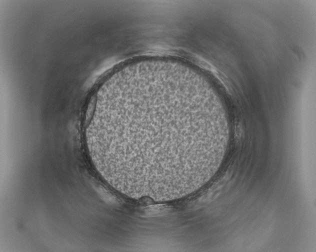 X0000110701304200907241117