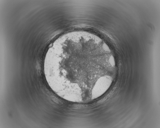 X0000110701305200907241117