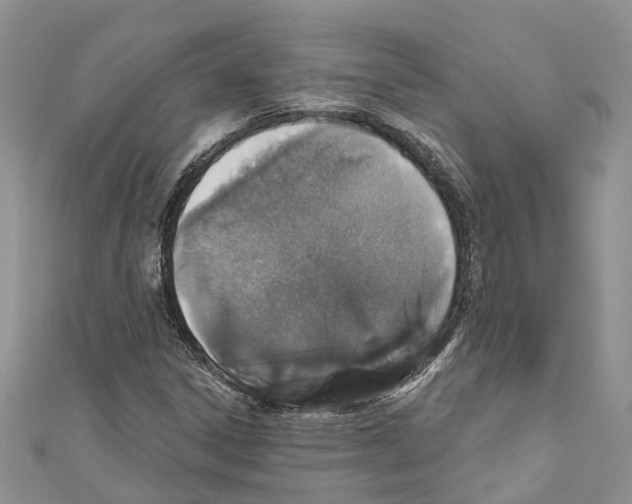 X0000110701306200907241117