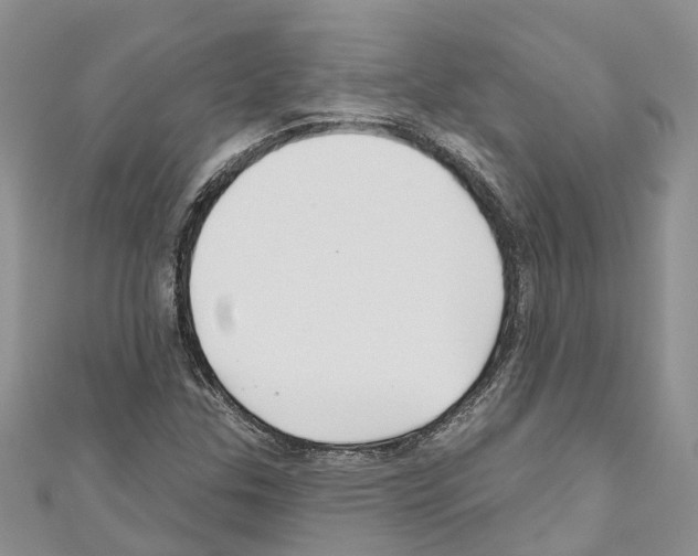 X0000110701307200907241117