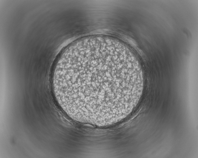 X0000110701308200907241117