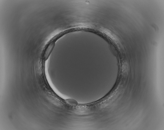 X0000110701310200907241117