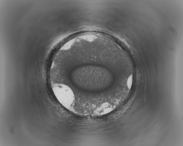 X0000110701311200907241117