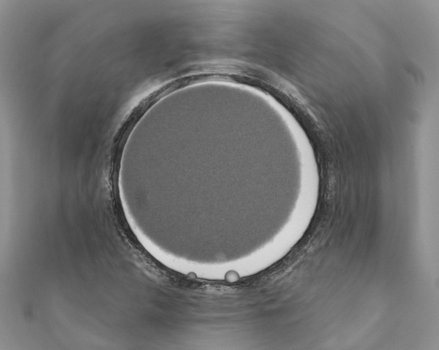 X0000110701312200907241117