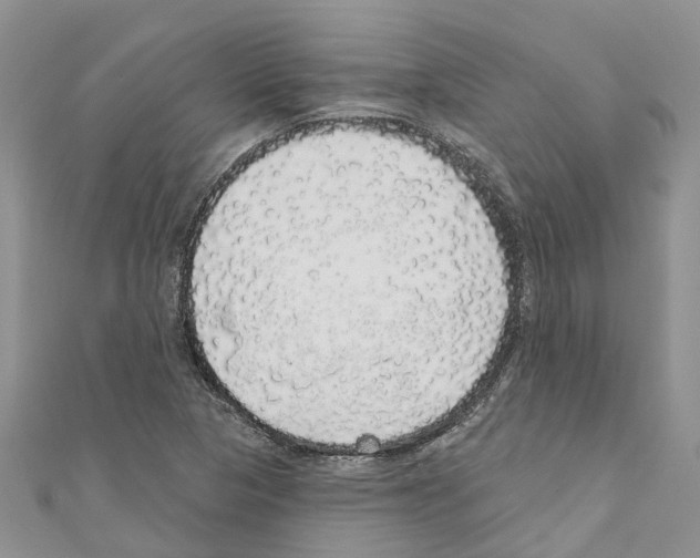 X0000110701313200907241117