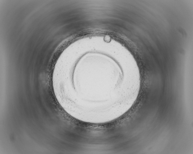 X0000110701314200907241117