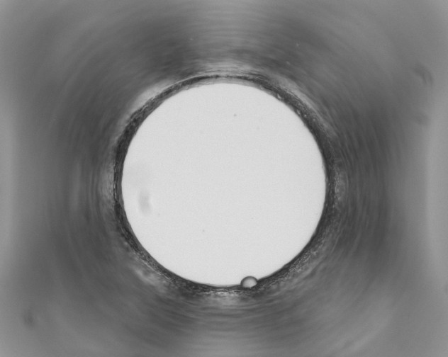 X0000110701315200907241117