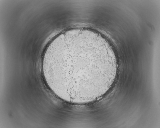X0000110701317200907241117