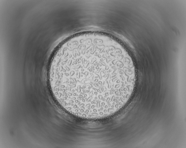 X0000110701318200907241117