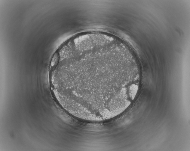 X0000110701320200907241117