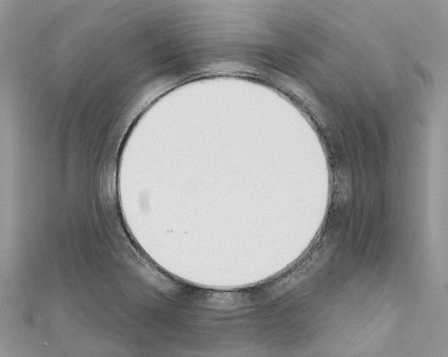 X0000110701322200907241117