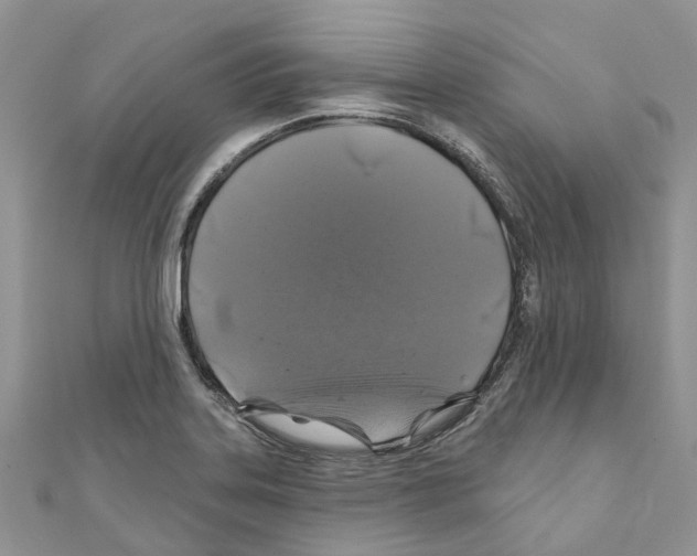 X0000110701323200907241117