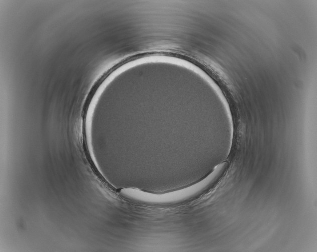 X0000110701324200907241117