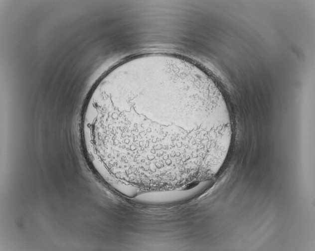 X0000110701325200907241117