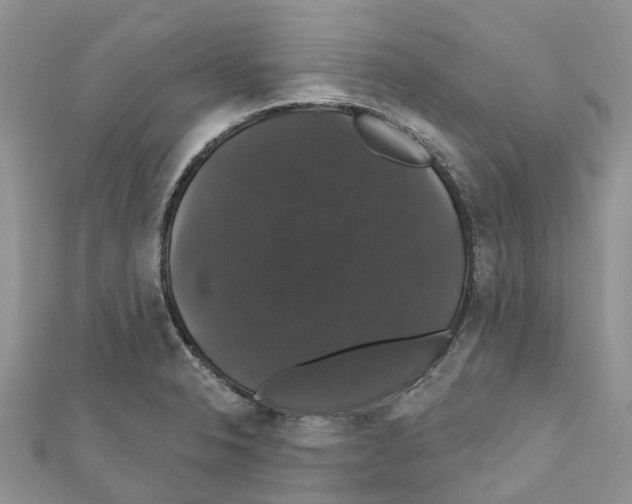X0000110701326200907241117
