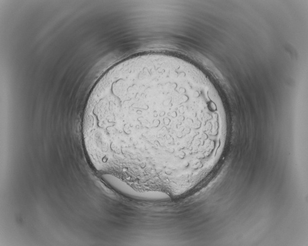 X0000110701329200907241117