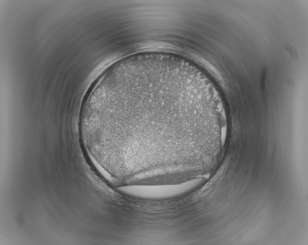 X0000110701330200907241117
