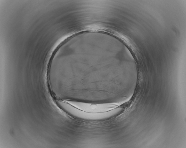 X0000110701331200907241117