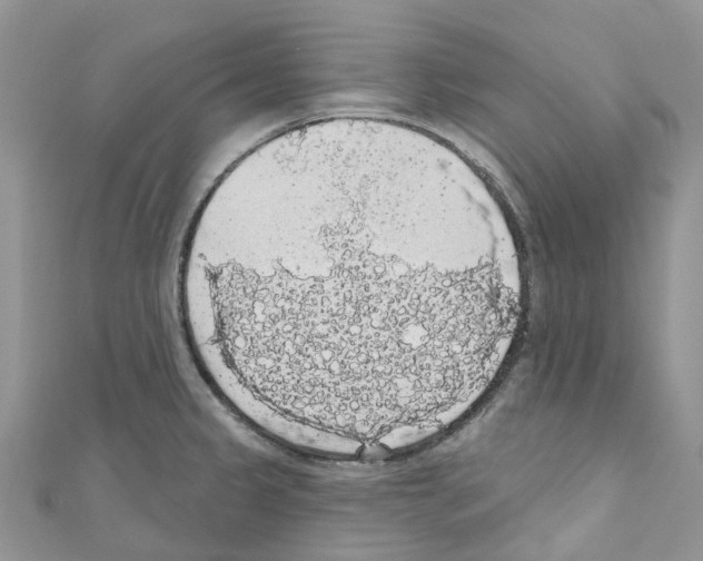 X0000110701333200907241117