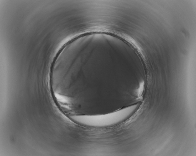 X0000110701334200907241117