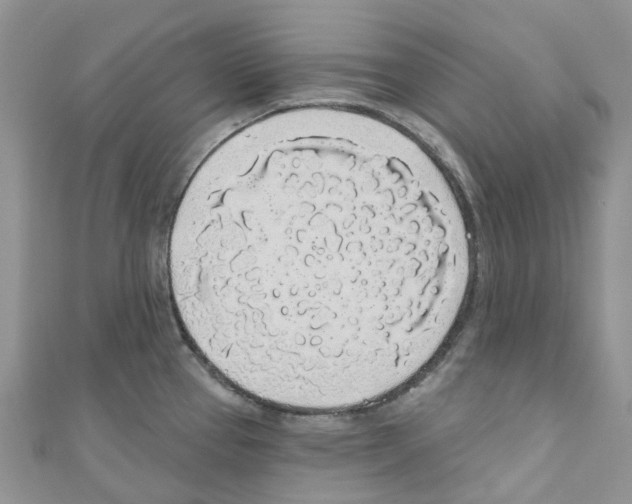 X0000110701337200907241117