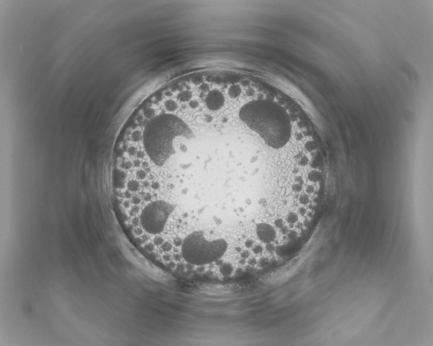 X0000110701338200907241117