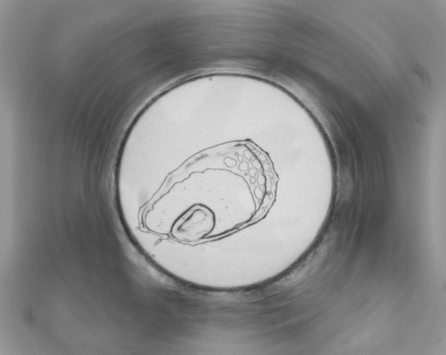 X0000110701341200907241117